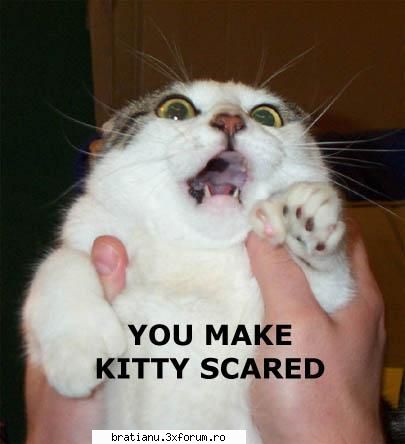 Offtopic/Aberatii - u gotta seee this e mortala u make kitty scared - Altele