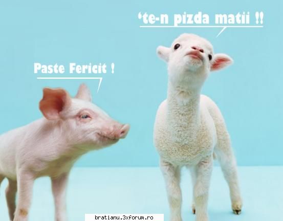 Offtopic/Aberatii - vine Pastele!! cu ocazia asta ne mai dau si noua - Altele