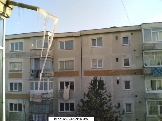 poze - ca sa vedeti cat de frig a fost azi-noapte...:) - Altele